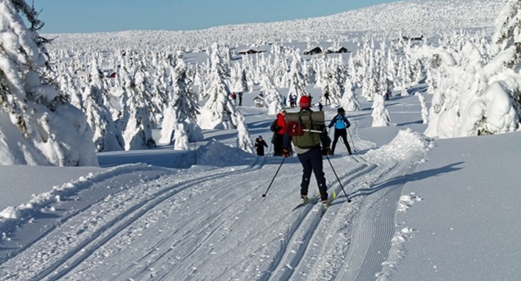 og ski i Sjusøen