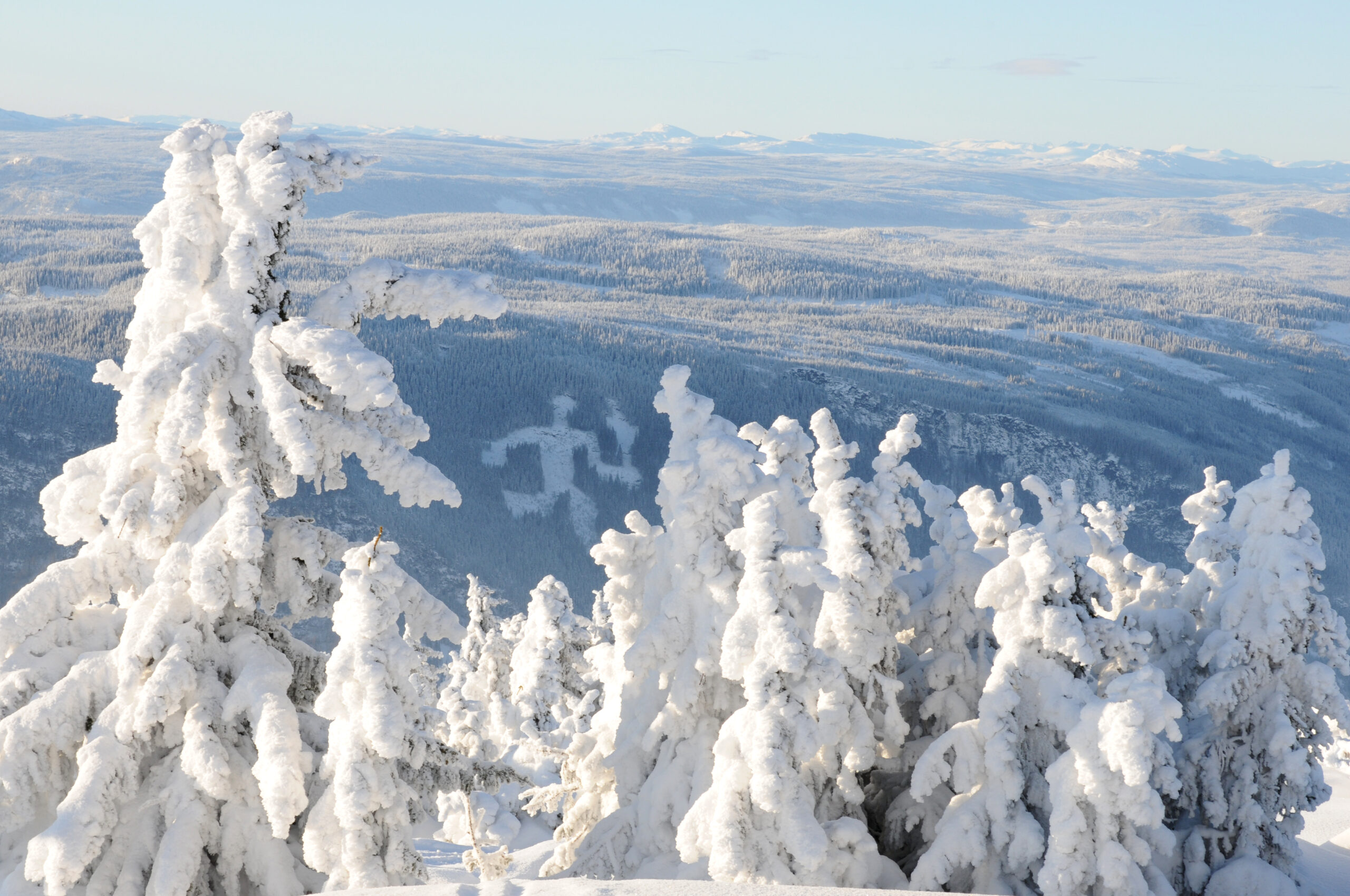 Hafjell til både familier eller en gruppe venner. Besøg et af Norges storste skiområder. Hele Hafjell bindes sammen af 15 lifte og 1 gondollift.