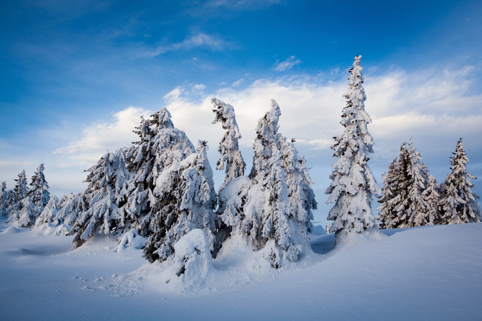 Vinter