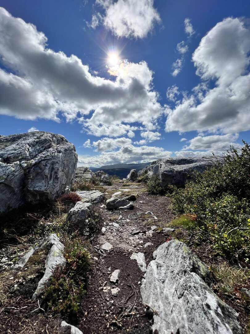Sommerferie i Kvitfjell
