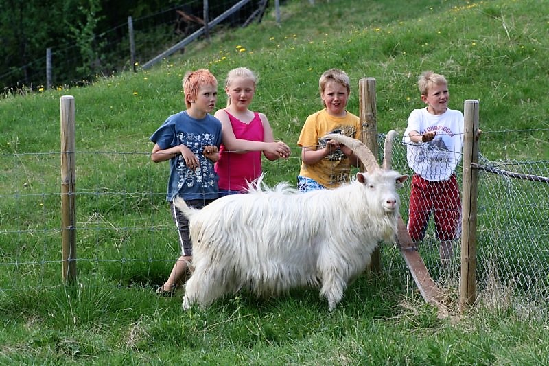 Huldreheimen er området mellem Gausdal og Valdres, et ideelt vandreområde for folk i alle aldre, også børn. Er du en novice i at vandre i de Norske fjelde, er Espedalen det perfekte sted at gå på opdagelse.