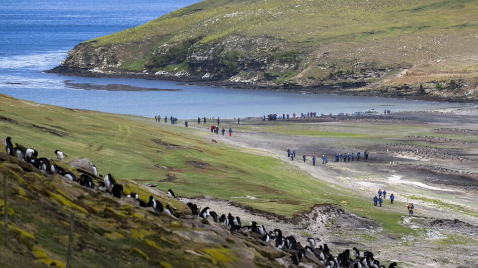 Falklands øerne