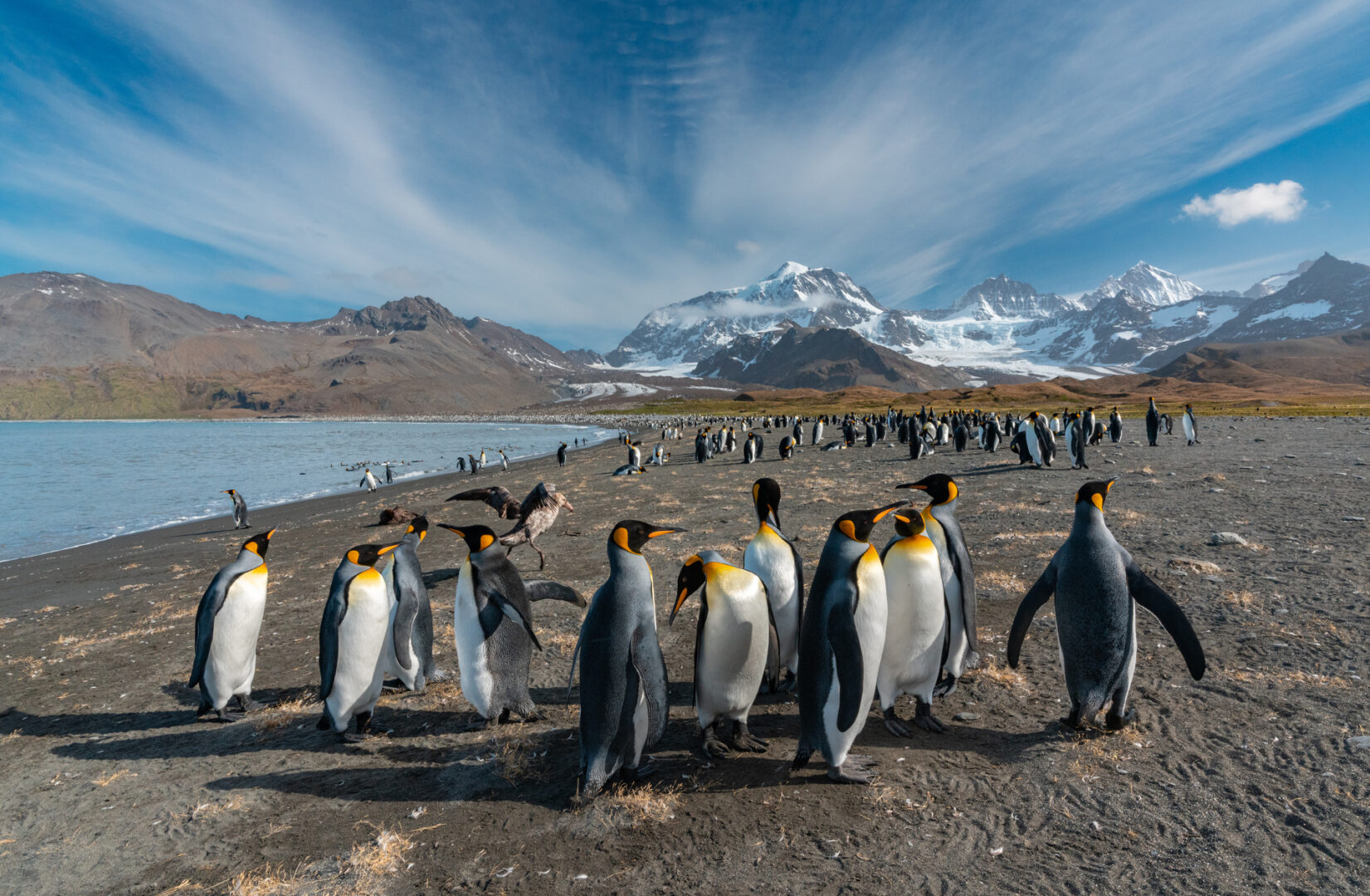 ekspeditionsrejser fra Arktis kolde nord såsom grønland, svalbard og nordvestpassagen til Alaska og Galapagos