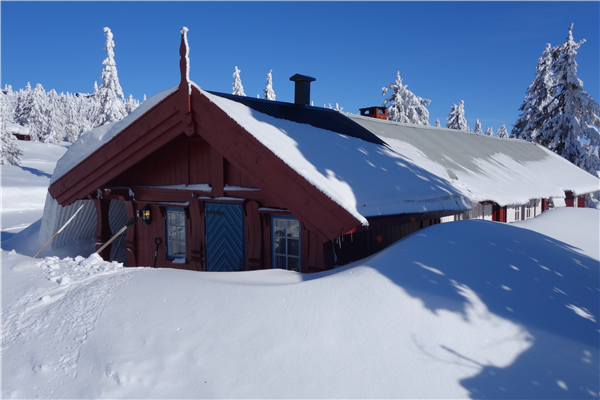 På Sjusjøen har Norsk Rejsebureau hytter og lejligheder i alle størrelser.