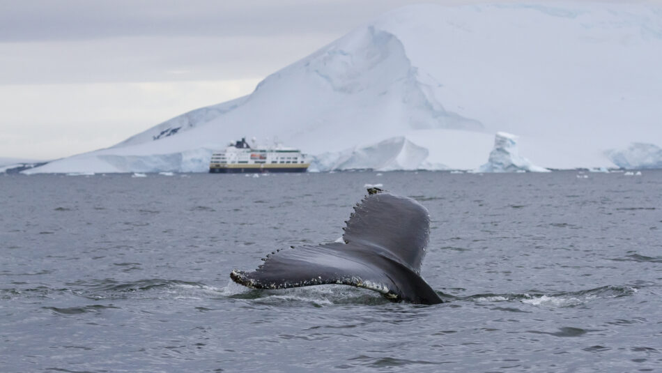 Hx Expeditions