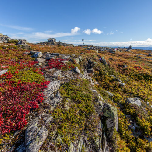 Gå på opdagelse i fjeldet ved Skeikampen. Om efteråret viser fjeldet de flotte efterårsfarver