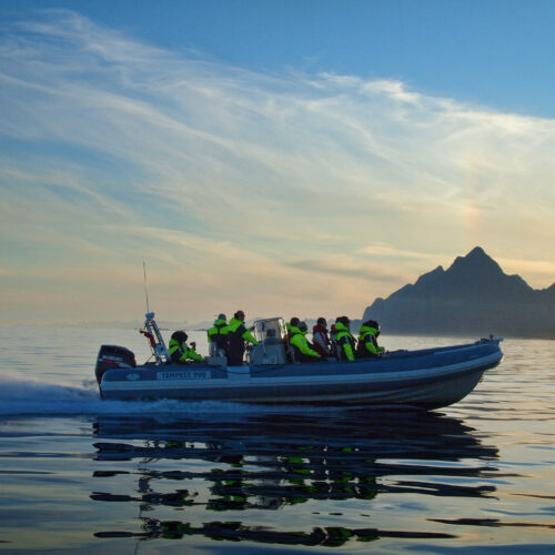 Oplev Lofoten med Svalbardlinjen. Deltag i udflugt RIB baadtur i Lofoten