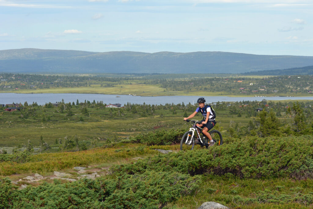 Sommerferie i Nordseter