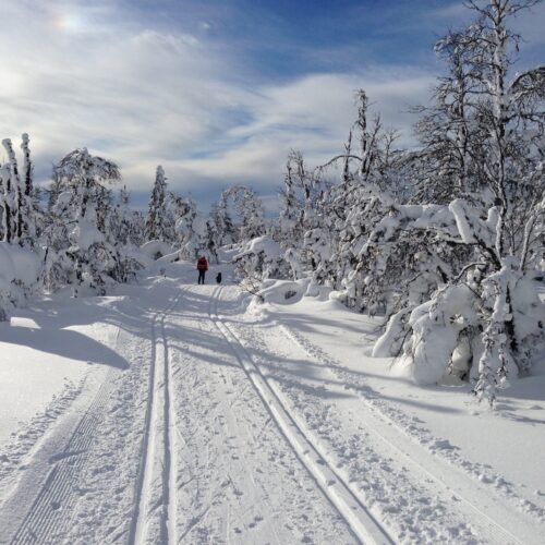 Gålå Langrend