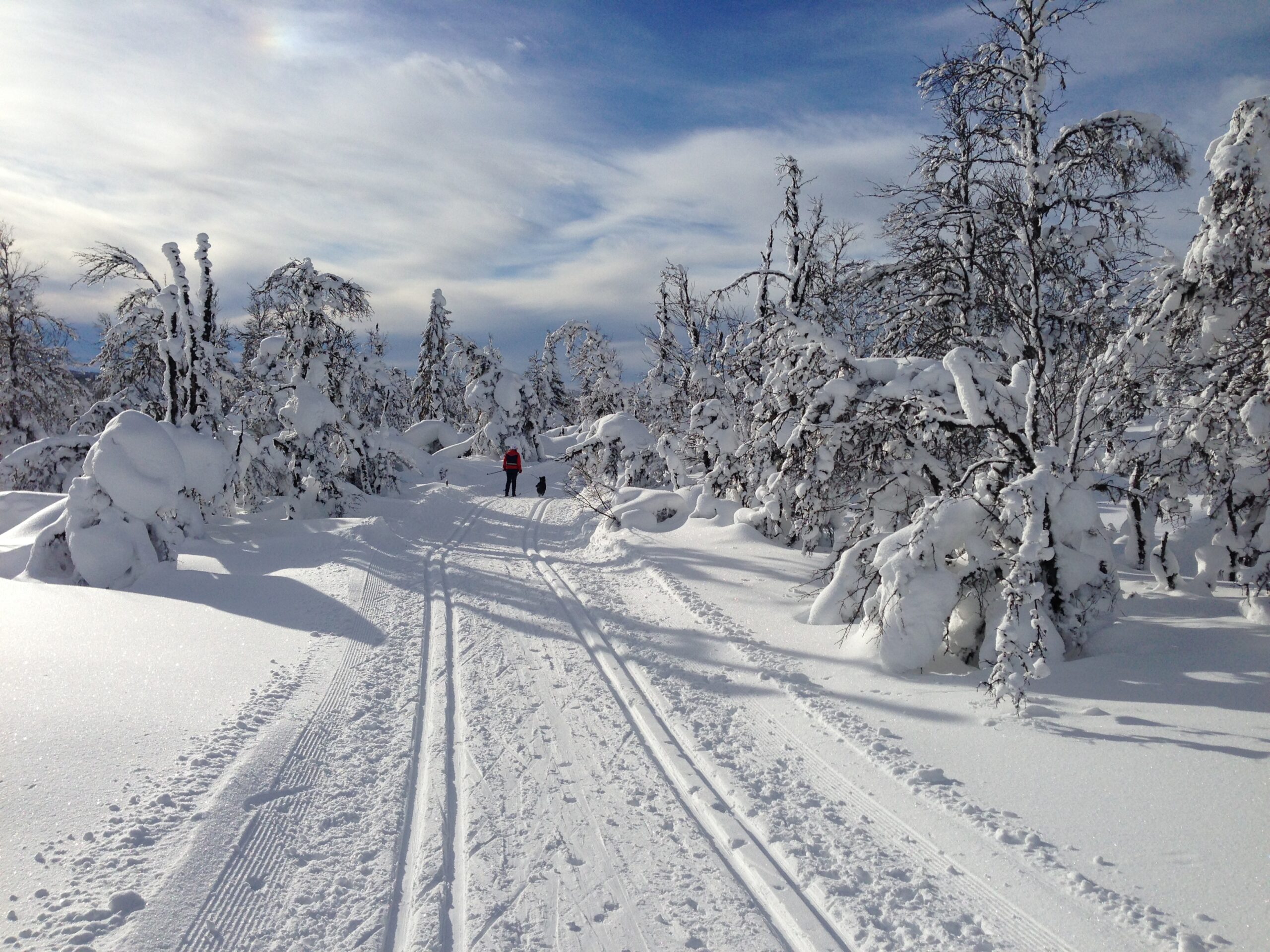 Gålå Langrend