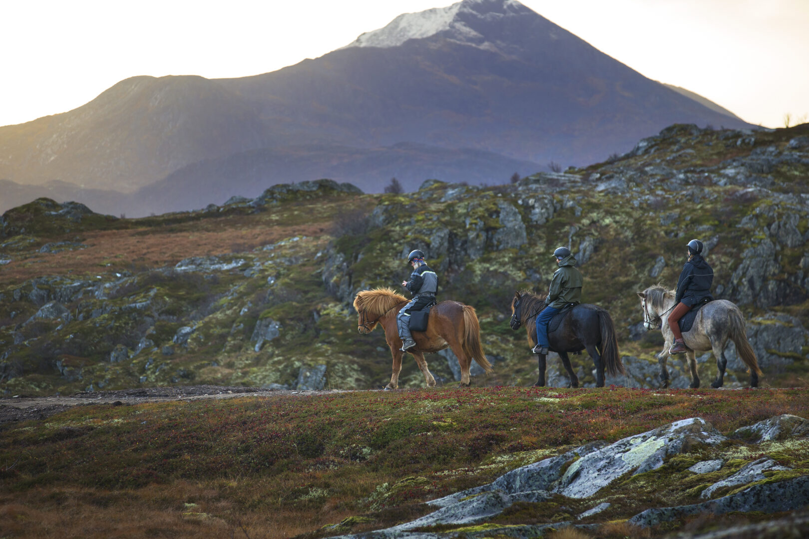 Oplev Lofoten fra hesteryggen.