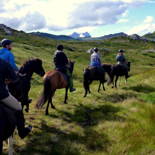 Lofoten til hest