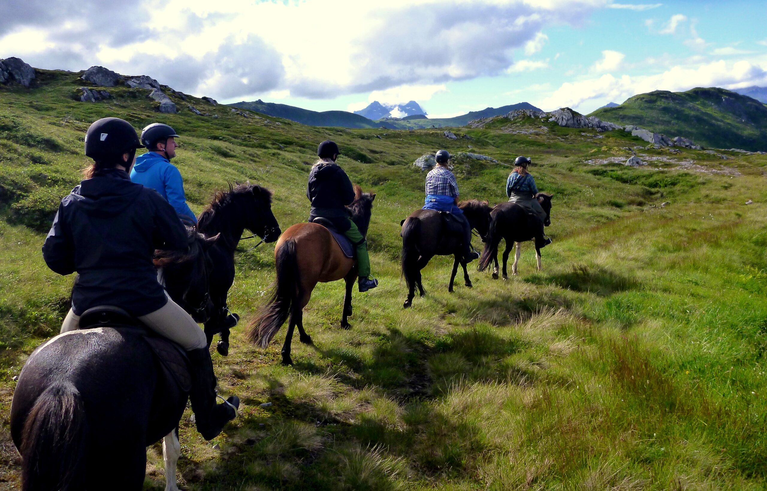 Lofoten til hest