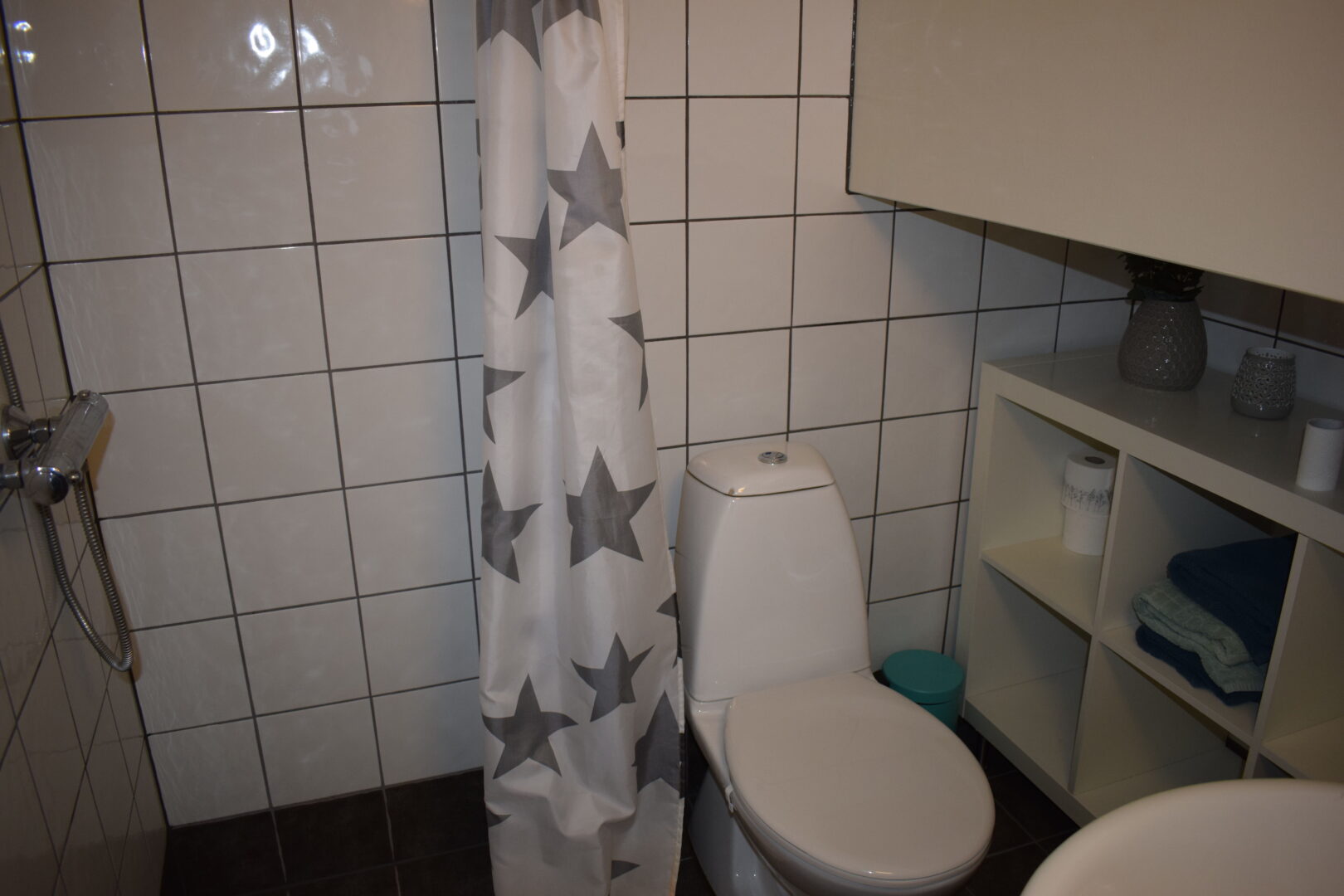 Fjellandsbyen 3E, Elgen (recovered data)