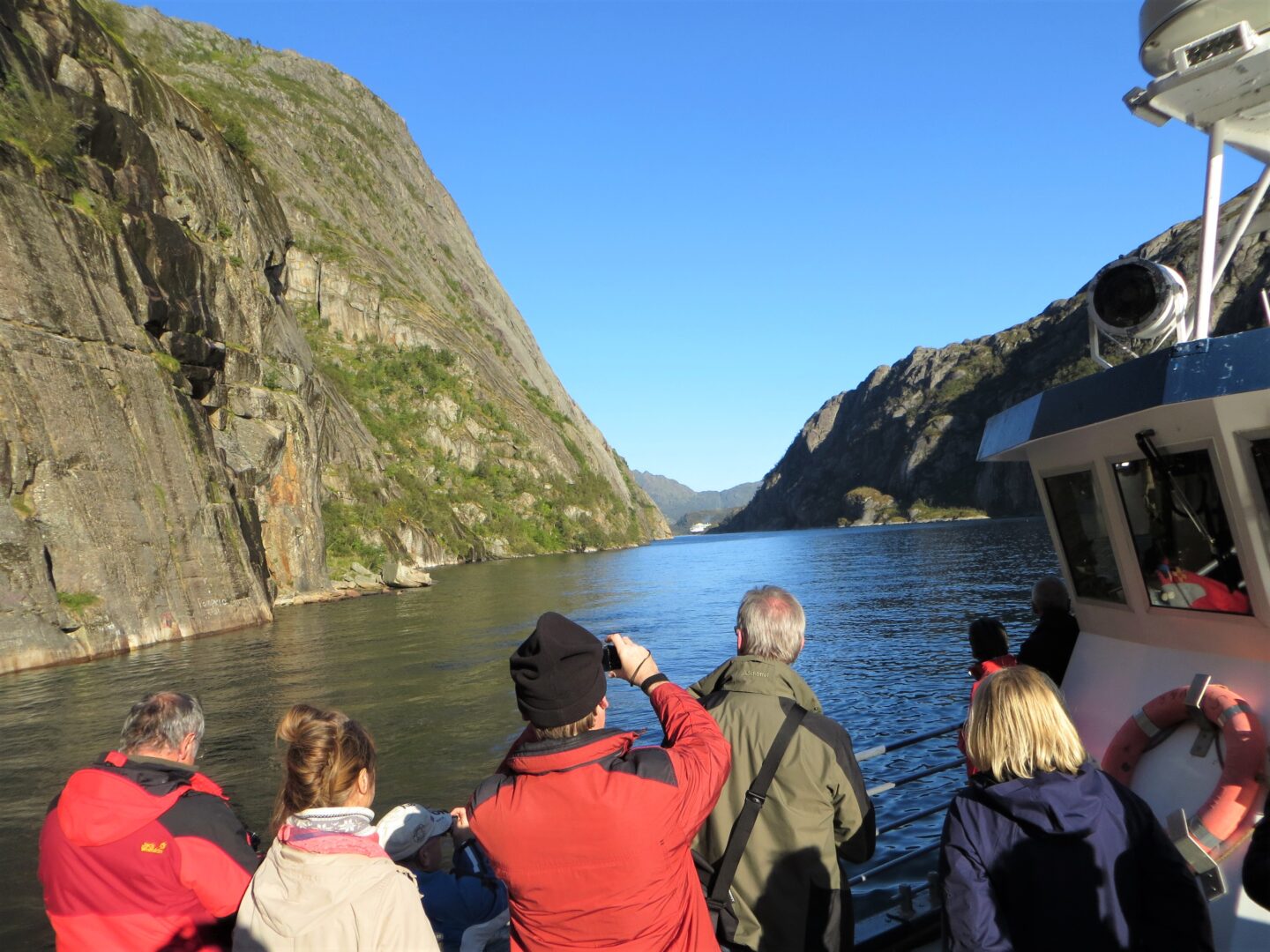 Havørnesafari i Trollfjorden