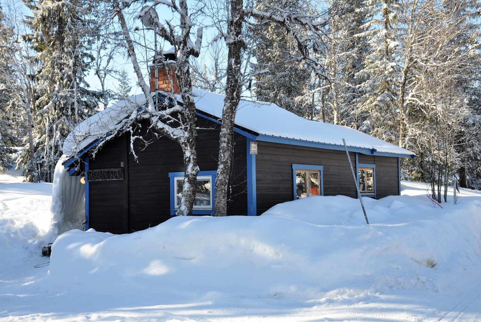 Vargen och Ripfjället