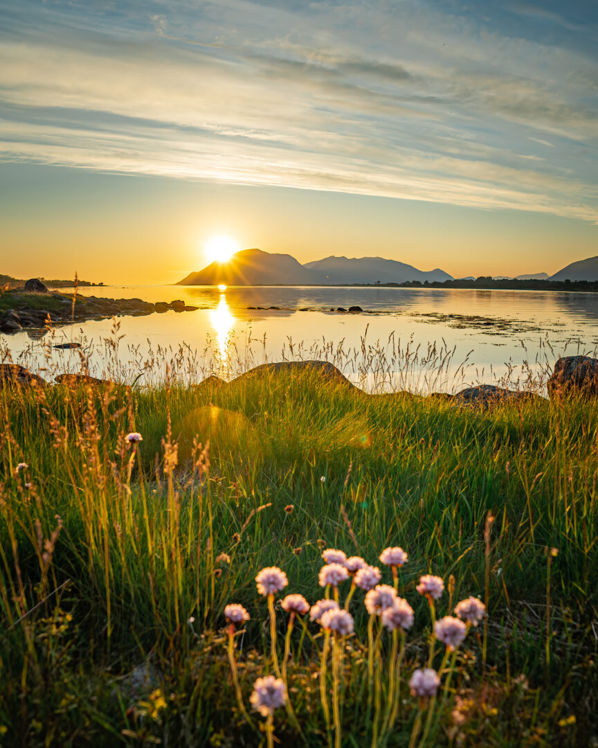 Oplev Lofoten