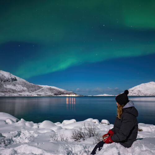 Nordlyssafari i minibus og udsigt over fjorden