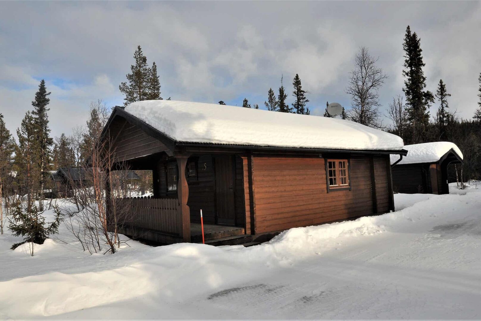 Vargen och Ripfjället