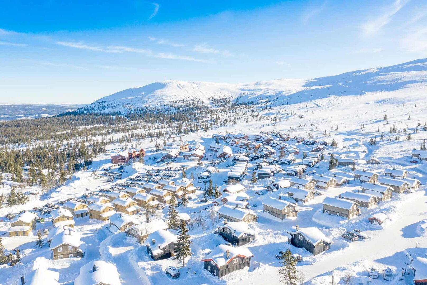 Skurufjellet Hyttegrend