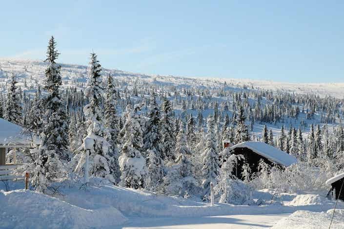 Sälfjällstangen