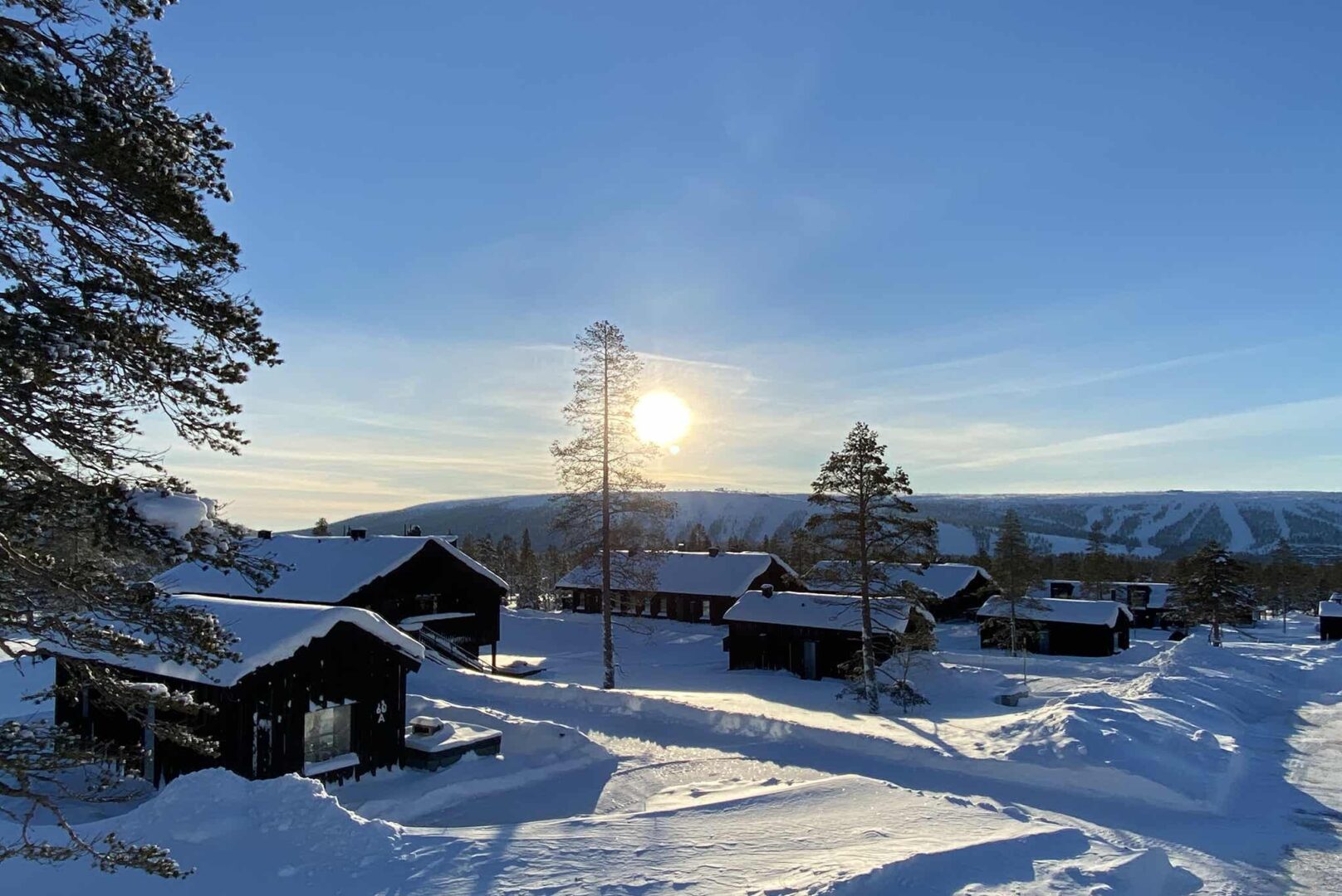 Hills Orrliden