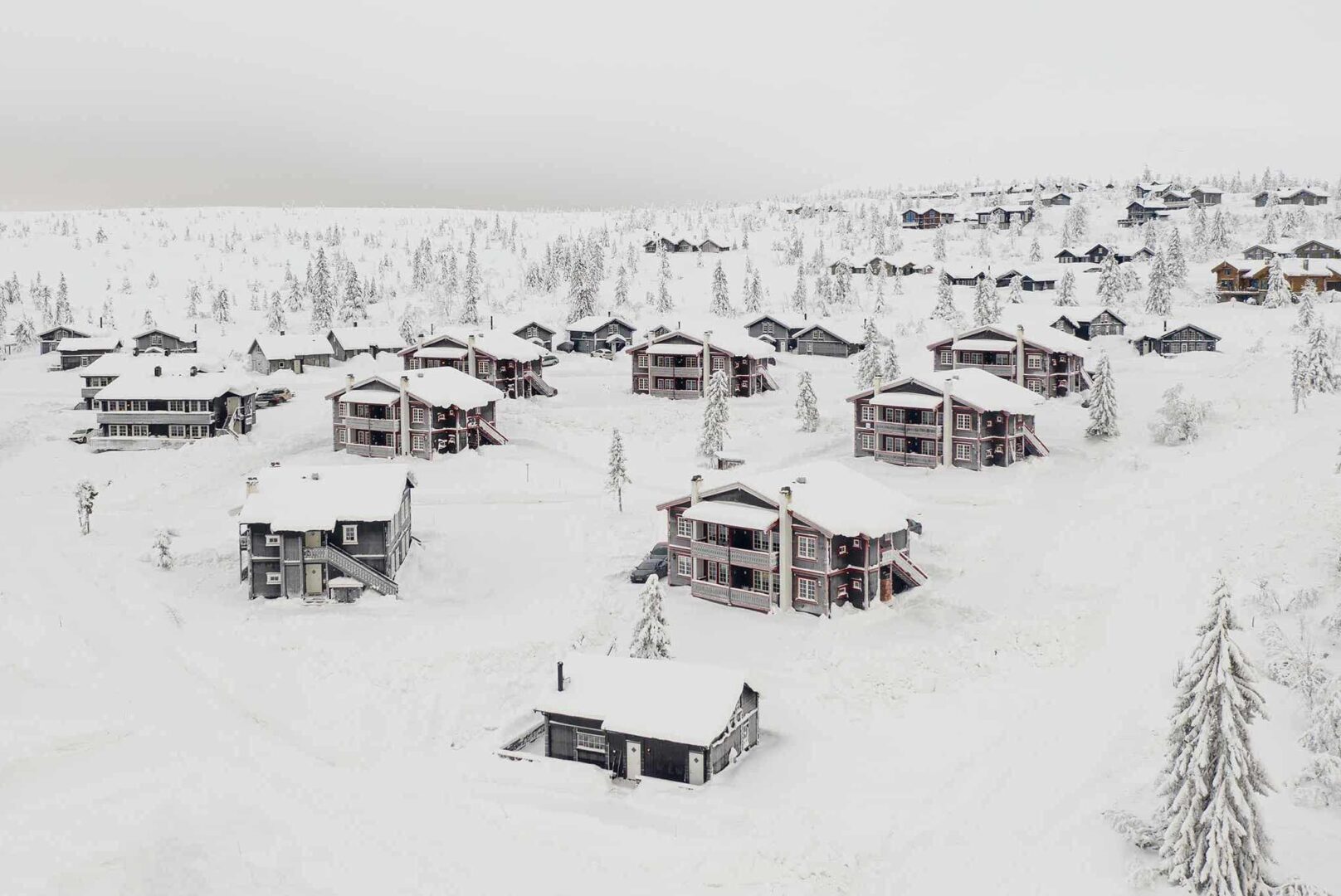 Snøhvit