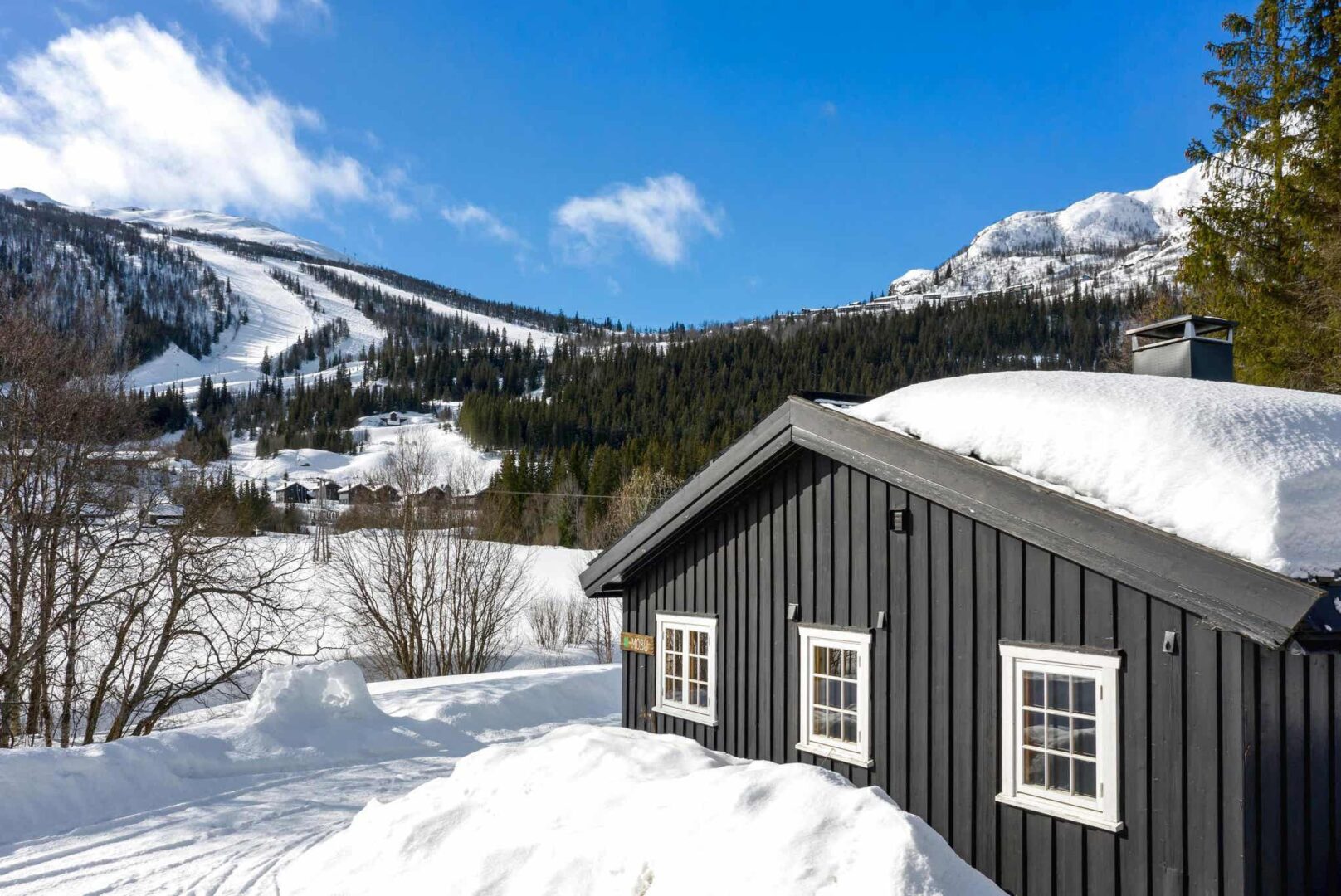 Hytter Hemsedal Skisenter