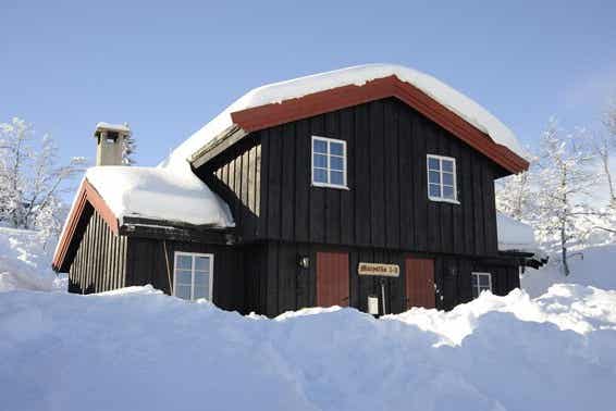 Skurufjellet Hyttegrend