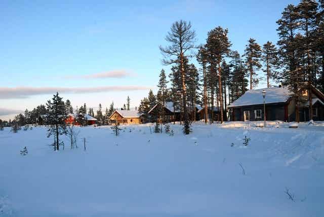 Dammkölen