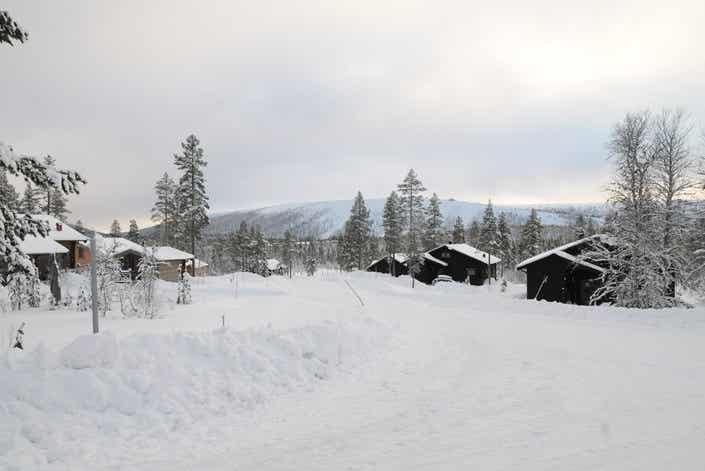 Orrliden