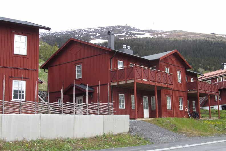 Fjällfoten
