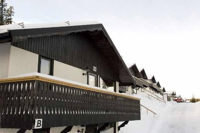 Sälentoppen
