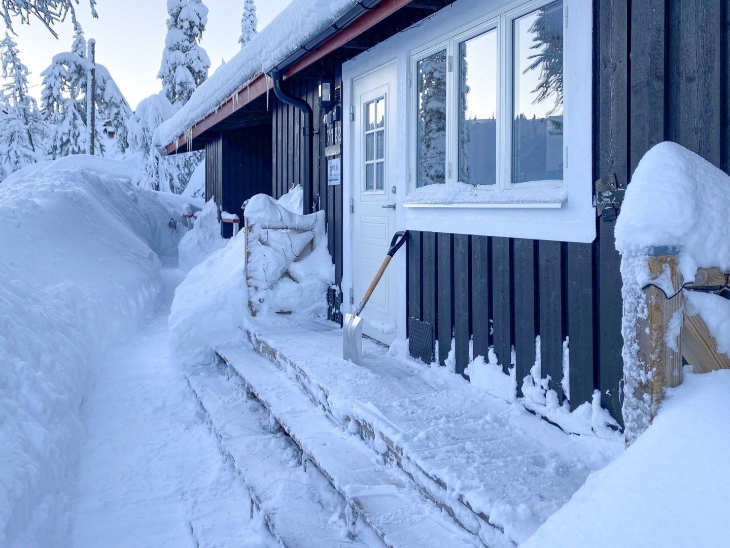 Trysilfjellet Nord