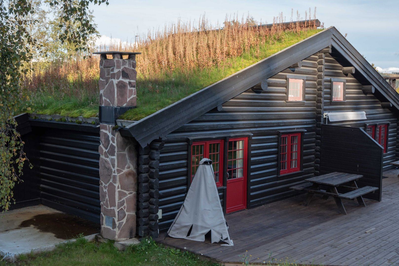 Vikinggrenda