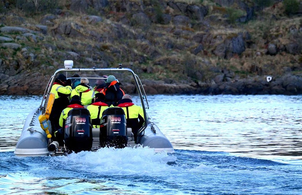 RIB-Safari Henningsvær