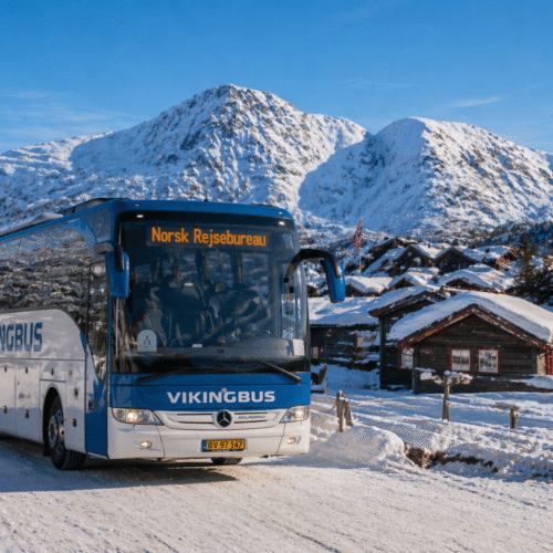 Vikingbus i Norge