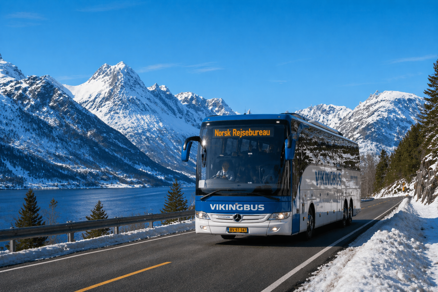 Vikingbus