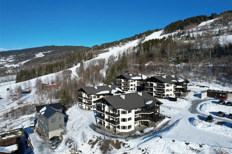 Sørlia Alpin Apartment 3, 4 pers.