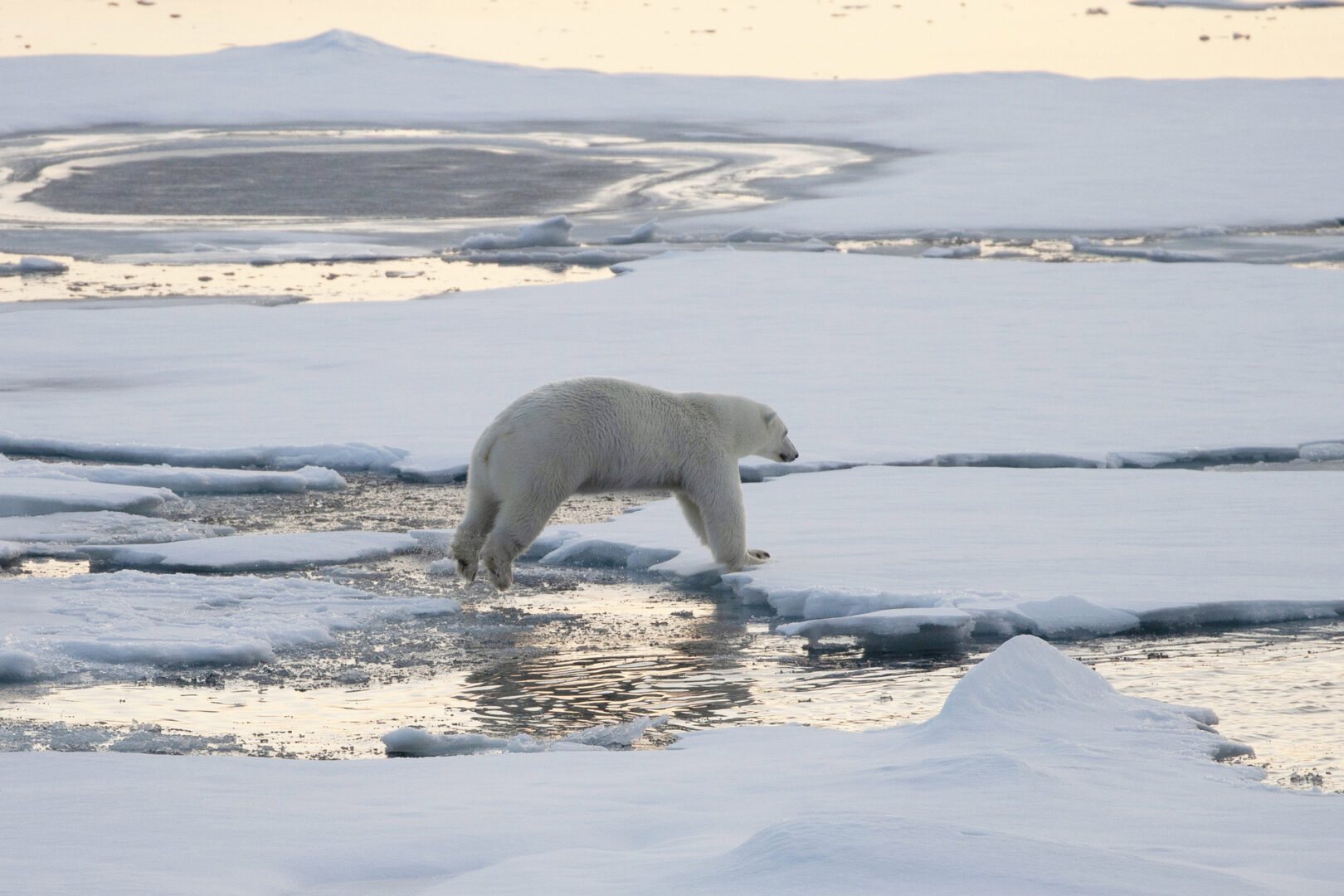 Svalbard – Solens tilbagevenden